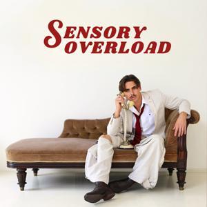Sensory Overload by Bill Barker