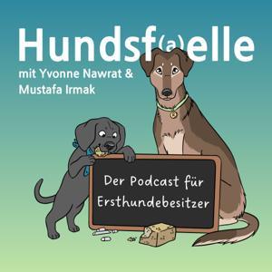 Hundsfaelle - Die Expertentipps für Ersthundebesitzer by Yvonne Nawrat und Mustafa Irmak