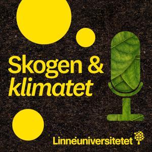 Skogen och klimatet - en podd från Skog och trä vid Linnéuniversitetet by Skog och trä vid Linnéuniversitetet