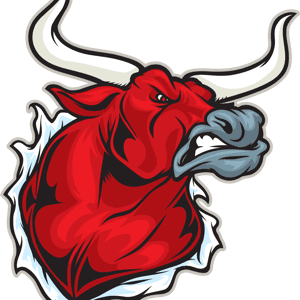 The Bullvine by The Bullvine