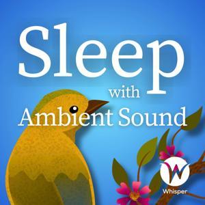 Sleep with Ambient Sound by Whisper.fm