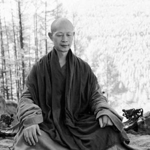 打坐 站桩｜每天十分钟 健健康康 by 知辰927