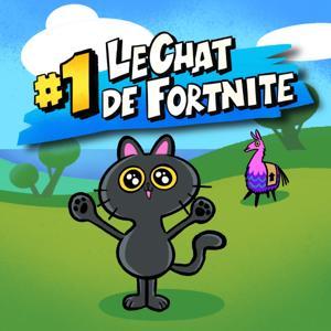 Le CHAT de FORTNITE by Crazy Cat