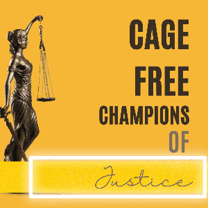 Cage Free Champions of Justice by cagefreechampions
