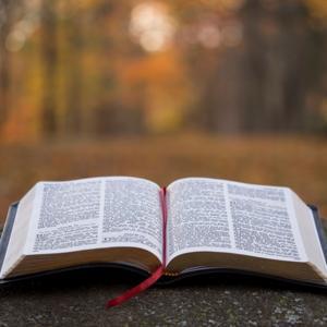 KJV Bible Chronological Daily Reading by Michael Wilkinson