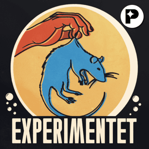 Experimentet by Tredje Statsmakten Media och Perfect Day