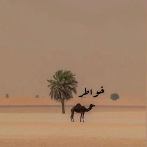 خواطر by Ibrahim