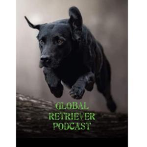 Global Retriever Podcast by David Bavero, Waterstone Labradors