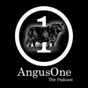 AngusOne - The Podcast by AngusOne Promotions