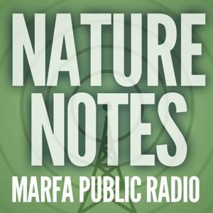 Nature Notes by Marfa Public Radio