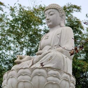 法音宣流 by LLWMBT