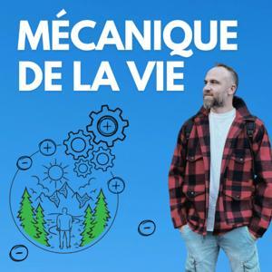 L'équation dont vous êtes l'inconnu by Mécanique de la Vie