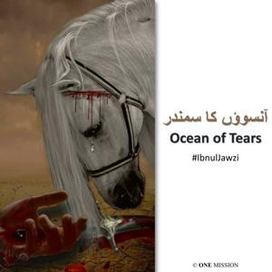 Ocean of Tears by One Mission
