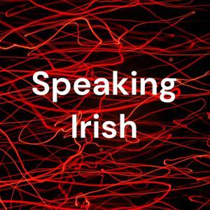 Speaking Irish by Speaking Irish