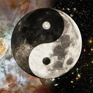 Bushwacker by Bushwacker