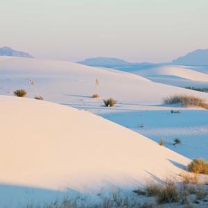 OneyPlays Uploads by Oney Uploader