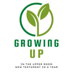 Growing Up in the Upper Room - New Testament Bible in a year by Upper Room Cape Town