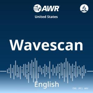 Wavescan by Ray Robinson
