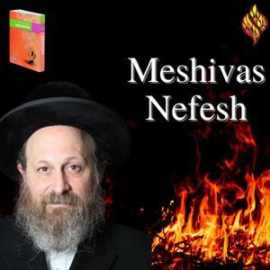 Meshivas Nefesh by The Rav Moshe Weinberger Library