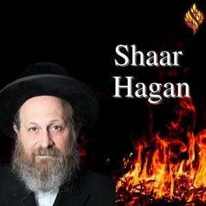 Sha'ar Hagan by The Rav Moshe Weinberger Library