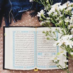 Quran - القران by Allah