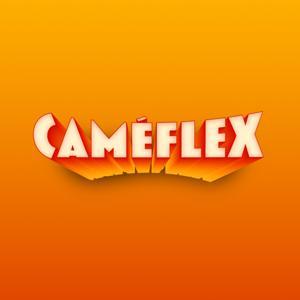 Caméflex by Nicolas Delage et Tom Grossin
