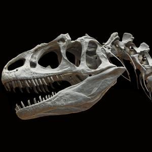 ExtinctZoo by ExtinctZoo