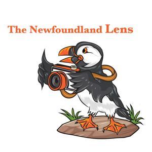 The Newfoundland Lens by Newfoundland Photo Tours