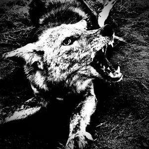 One Predator Podcast by One Predator