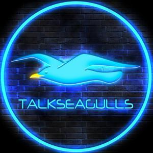 Talk Seagulls by TalkSeagulls