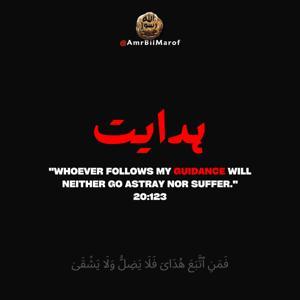 Urdu Bayan by AmrBilMarof