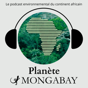 Planète Mongabay by Mongabay Afrique