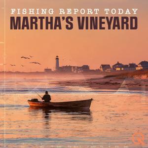 Martha's Vineyard Fishing Report Today by Inception Point Ai