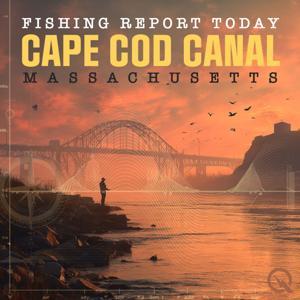 Cape Cod Canal, Massachusetts Fishing Report Today by Inception Point Ai