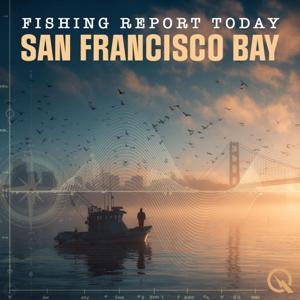 San Francisco Bay Fishing Report Today by Inception Point Ai