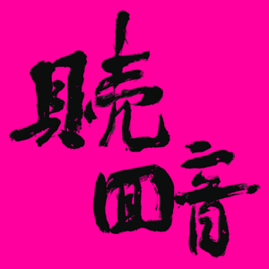 贝壳回音 by 贝壳回音