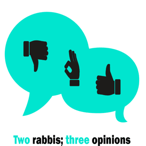 Two Rabbis, Three Opinions by Rabbi Yitzchok Adlerstein