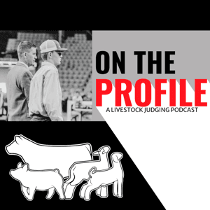 On the Profile by ugabeef