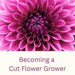 Becoming a Cut Flower Grower by Lydia Watson