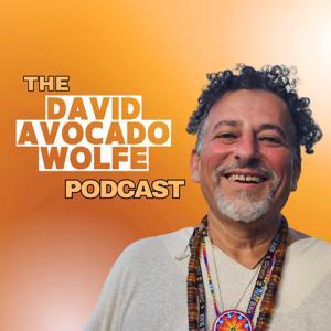 The David Avocado Wolfe Podcast by David Avocado Wolfe