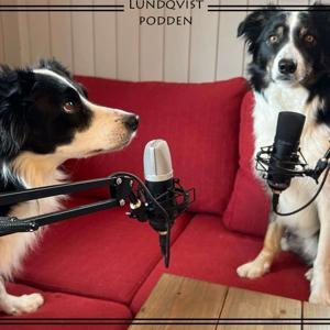 Lundqvist-podden by Lundqvist Hundeskole