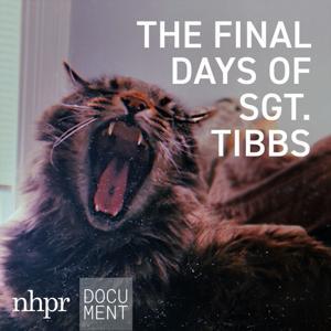 The Final Days of Sgt. Tibbs by NHPR