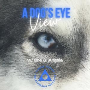 A Dog's Eye View by Canine-Human Relationship Institute (CHRI)