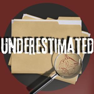 Underestimated - Bobcat Media by Underestimated - Bobcat Media
