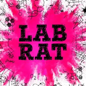 LabRat Foiler Podcast by Daniel Paronetto