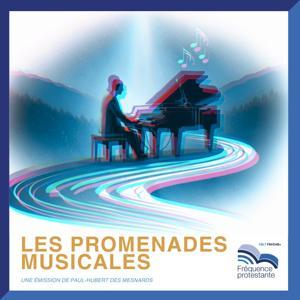Promenades musicales by Paul-Hubert Des Mesnards