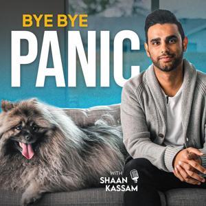Bye Bye Panic by Shaan Kassam