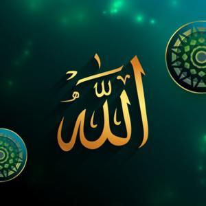 TheGuidedPath - الصِّرَاطَ الْمُسْتَقِيمَ by TheGuidedPath