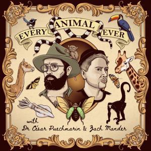 Every Animal Ever by Dr Cesar Puechmarin, Zach Mander
