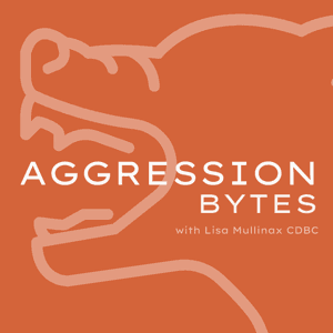 Aggression Bytes by Lisa Mullinax